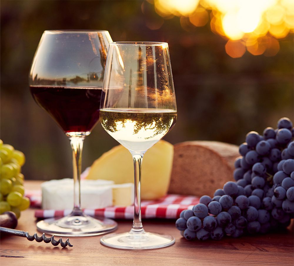 One glass of red wine and one glass of white during a picnic